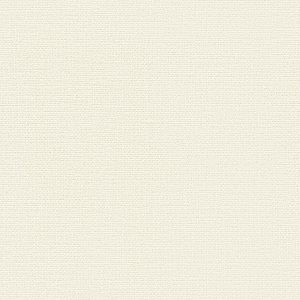 Ảnh map giấy dán tường Nhật Bản BB1027, texture giấy dán tường BB1027