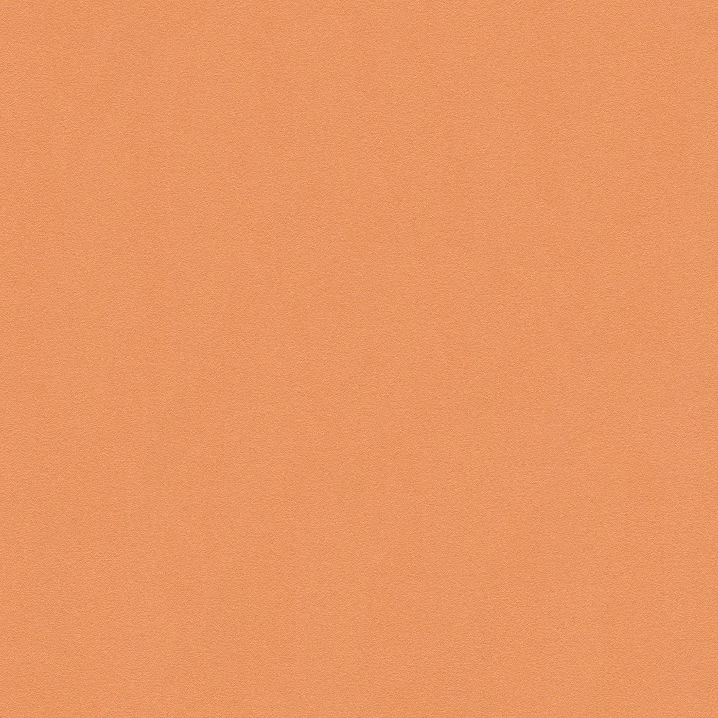 BB1256_R