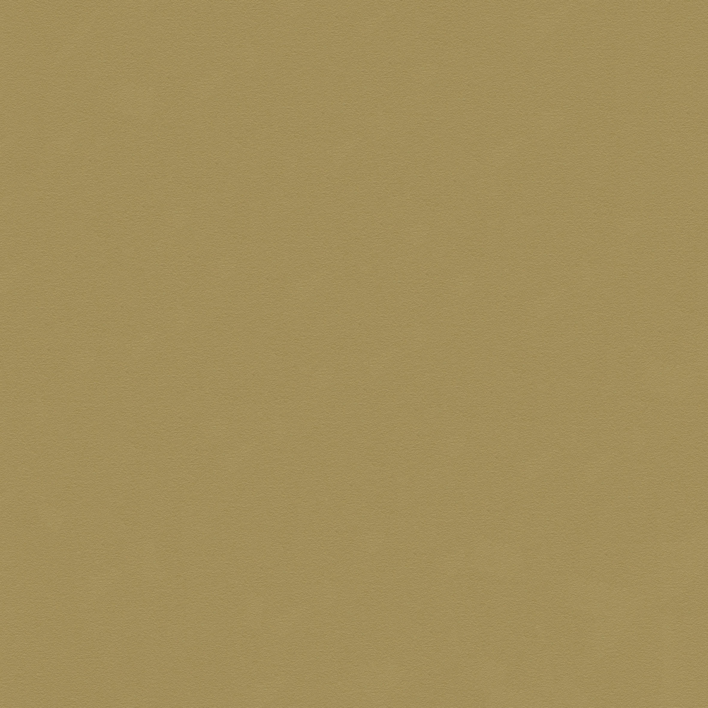 BB1257_R