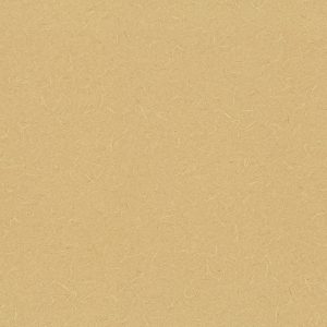 Ảnh map giấy dán tường Nhật Bản BB1459