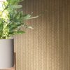 Ảnh thi công giấy dán tường BB9519