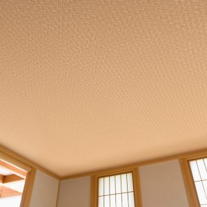 Ảnh thi công giấy dán tường BB9522