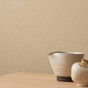 Ảnh thi công giấy dán tường BB9556