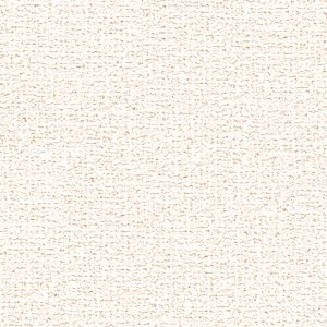 Ảnh map, texture giấy dán tường SLP621