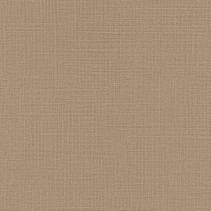 Giấy dán tường đẹp BA5229