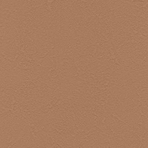 Giấy dán tường cao cấp BA5231
