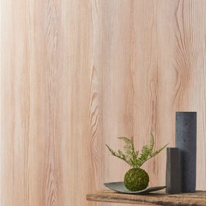 Giấy dán tường cao cấp BA5408