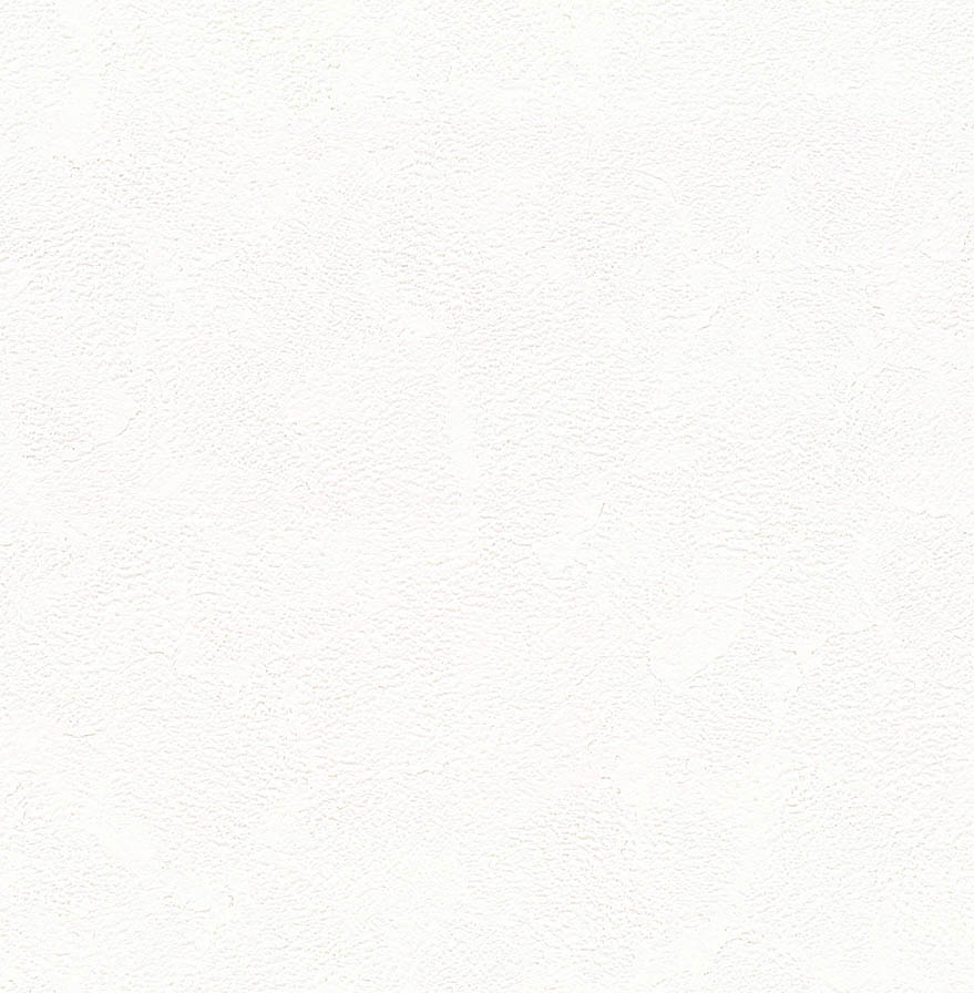 BA5507_R Ảnh map BA5507, texture giấy dán tường BA5507