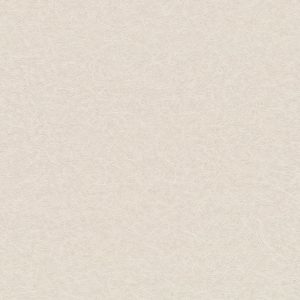 Ảnh map , texture giấy dán tường BA5467