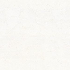 Ảnh map , texture giấy dán tường BA5481