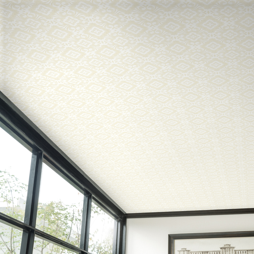 BA5544_P Ảnh map , texture giấy dán tường BA5544