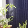 Ảnh thi công giấy dán tường Nhật Bản TWP1067