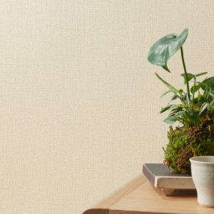 Mẫu giấy dán tường phòng ngủ BB9143