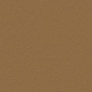 Ảnh map BB9446, texture giấy dán tường BB9446