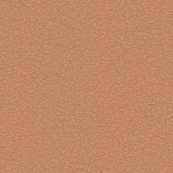 BB9457_R Ảnh map, texture giấy dán tường BB9457