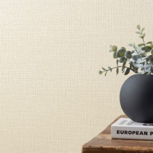 Giấy dán tường phòng khách BB9503