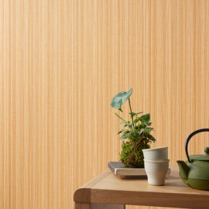 Giấy dán tường nhập khẩu BB9575