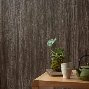 Giấy dán tường cao cấp BB9617