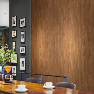 Ảnh thi công giấy dán tường BB9562