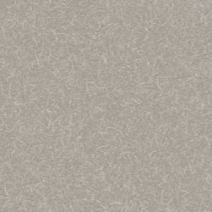 Ảnh map TWP1324, texture giấy dán tường TWP1324