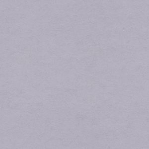Ảnh map TWP1669, texture giấy dán tường TWP1669P1669