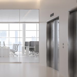 Ảnh thi công giấy dán tường TWS8090